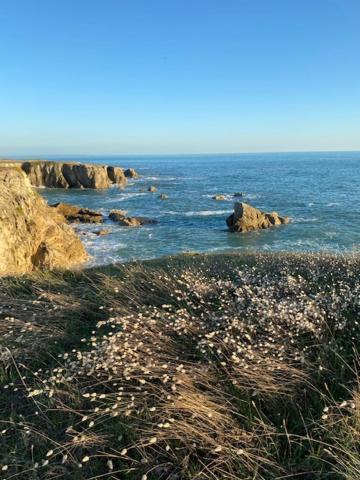 Studio Agreable 300M Cote Sauvage Le Pouliguen Kültér fotó